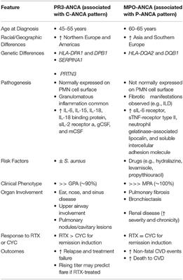 Personalized Medicine in ANCA-Associated Vasculitis ANCA Specificity as the Guide?